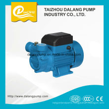 0.5HP/1HP High Quality Vortex Water Pump Manufacturer in China